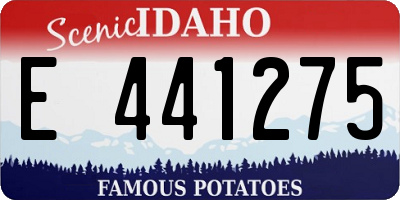 ID license plate E441275