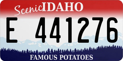 ID license plate E441276
