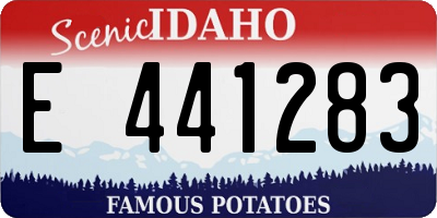 ID license plate E441283