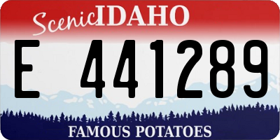 ID license plate E441289