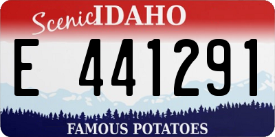 ID license plate E441291