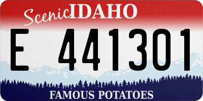 ID license plate E441301
