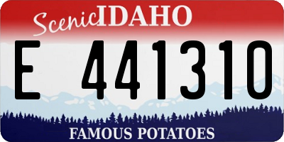ID license plate E441310