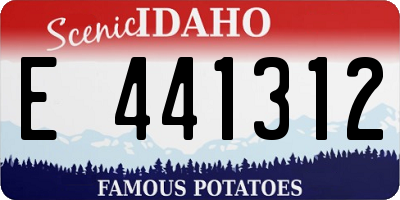 ID license plate E441312