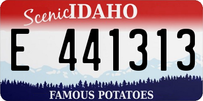 ID license plate E441313