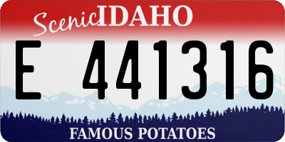 ID license plate E441316