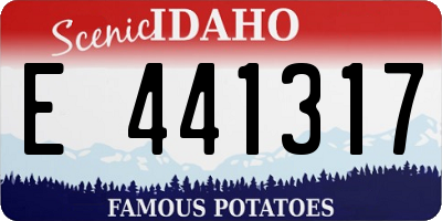 ID license plate E441317