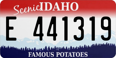ID license plate E441319
