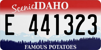 ID license plate E441323