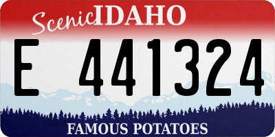 ID license plate E441324
