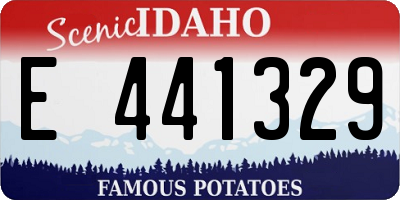 ID license plate E441329