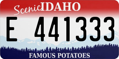 ID license plate E441333