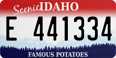 ID license plate E441334