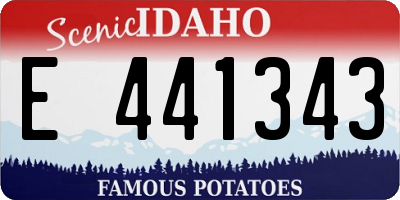 ID license plate E441343