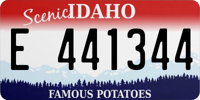 ID license plate E441344