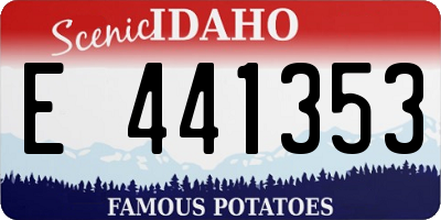 ID license plate E441353