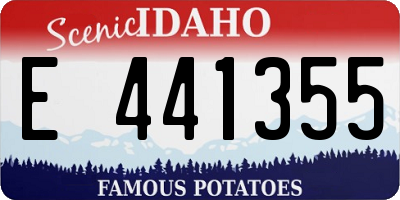ID license plate E441355