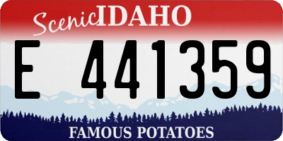 ID license plate E441359