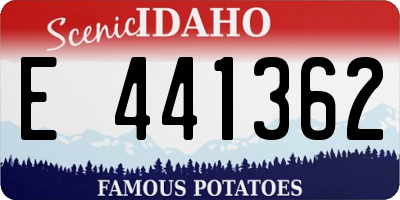 ID license plate E441362