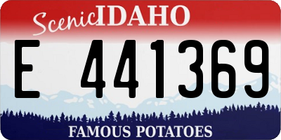 ID license plate E441369