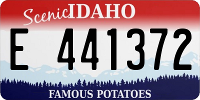 ID license plate E441372