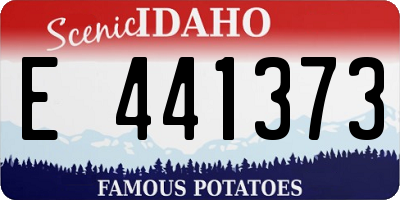 ID license plate E441373