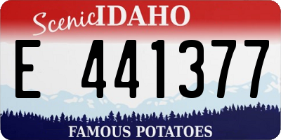 ID license plate E441377