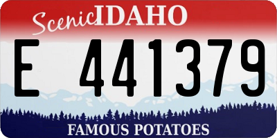 ID license plate E441379