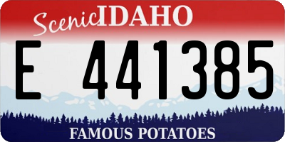 ID license plate E441385