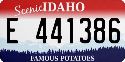 ID license plate E441386