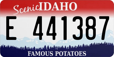 ID license plate E441387