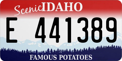 ID license plate E441389
