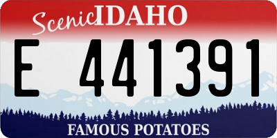 ID license plate E441391