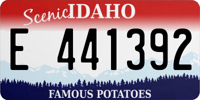 ID license plate E441392