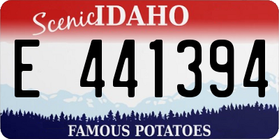 ID license plate E441394
