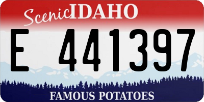 ID license plate E441397
