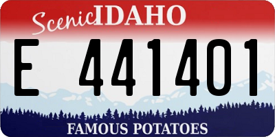 ID license plate E441401