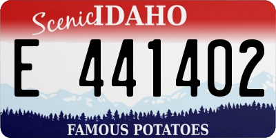 ID license plate E441402