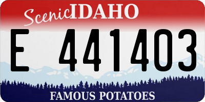 ID license plate E441403