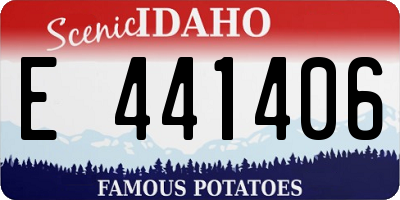 ID license plate E441406