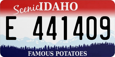 ID license plate E441409