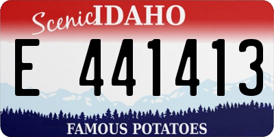 ID license plate E441413