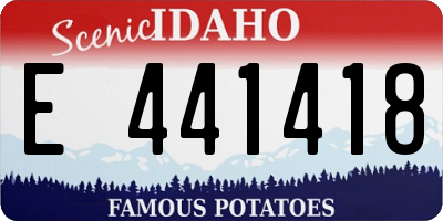 ID license plate E441418