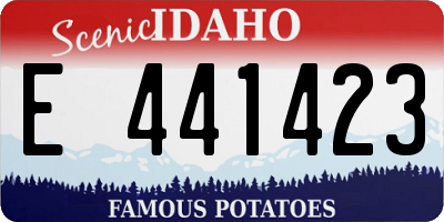 ID license plate E441423