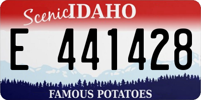 ID license plate E441428