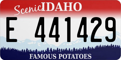 ID license plate E441429
