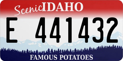 ID license plate E441432