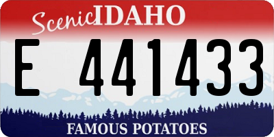 ID license plate E441433