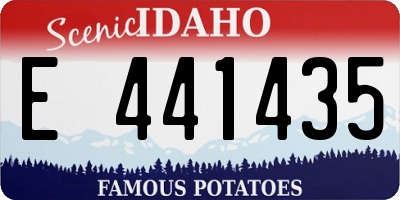 ID license plate E441435