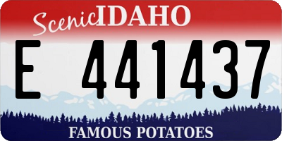 ID license plate E441437